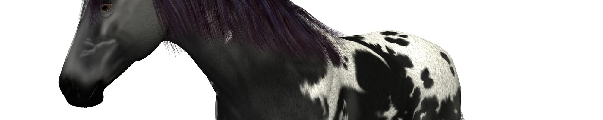 Gala-3D imagem de foto de capa de portefólio