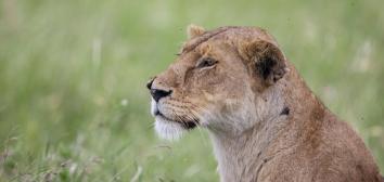 Pal Teravagimov portfolio