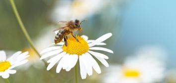 Lukas Gojda portfolio