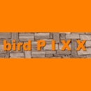 birdPIXX अवतार}