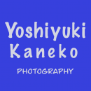 yoshiyayo image du profil}