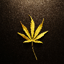 Cannabis_Pic image du profil}