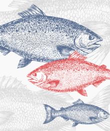Savci a ryby — Stocková ilustrace