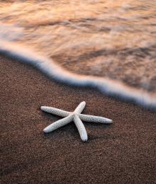 Strand og sjø – stockbilde