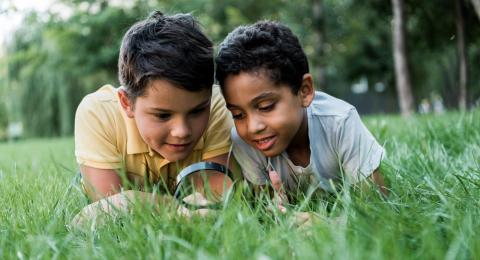 Loisirs et sciences — Image