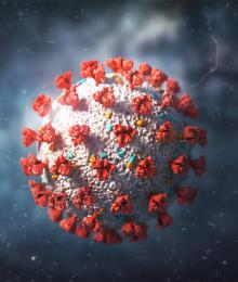 Вирус SARS-CoV-2 — стоковое изображение
